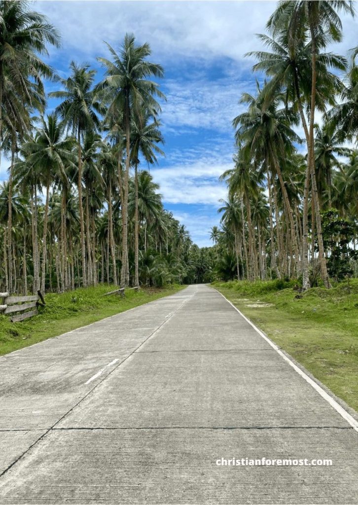 Coconut road siargao